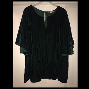 Green Velvet Flutter Sleeve Blouse